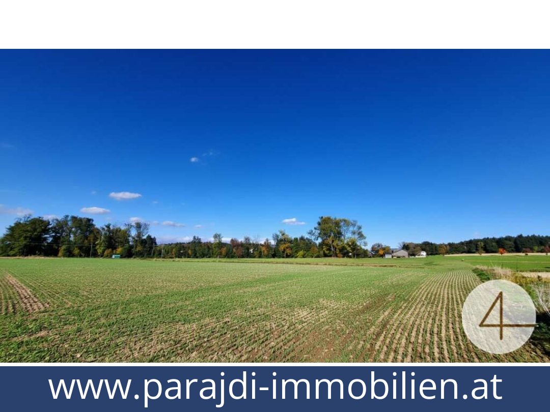 austria-homes-ried im innkreis-4910-20260119054720-0061101003.jpg